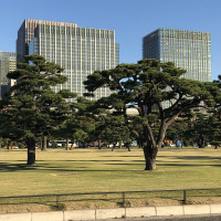 |4761| | Zahrada Tokio Imperial Palace - Císařský palác