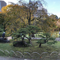 |4924| | Zahrady Tokio Kyu-Shiba-Rikyu