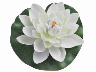 Bílý květ leknínu průměr 18 cm