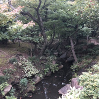 |4852| | Zahrady Tokio Kyu Furukawa