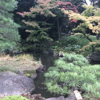 |4865| | Zahrady Tokio Kyu Furukawa