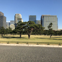 |4739| | Zahrada Tokio Imperial Palace - Císařský palác