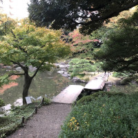 |4858| | Zahrady Tokio Kyu Furukawa