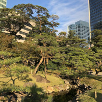 |4937| | Zahrady Tokio Kyu-Shiba-Rikyu