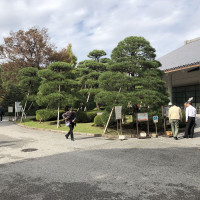 |4763| | Zahrada Tokio Imperial Palace - Císařský palác