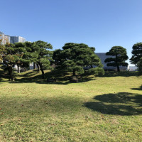 |4817| | Zahrady Tokio Hama Rikyu