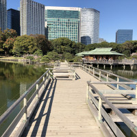 |4811| | Zahrady Tokio Hama Rikyu