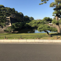 |4744| | Zahrada Tokio Imperial Palace - Císařský palác
