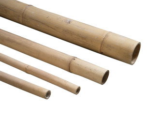 Bambusová tyč průměr 8 cm délka 220 cm