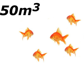 Jezírko s menším počtem ryb do 50 m3