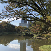 |4914| | Zahrady Tokio Kyu-Shiba-Rikyu