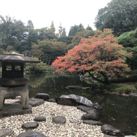 |4875| | Zahrady Tokio Kyu Furukawa