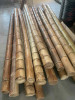 MOSO Bambusová tyč průměr 5 - 6 cm délka 2m