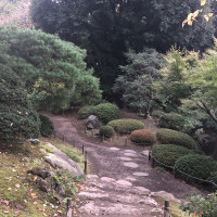 |4897| | Zahrady Tokio Kyu Furukawa