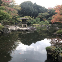|4879| | Zahrady Tokio Kyu Furukawa