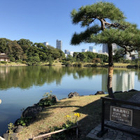 |4804| | Zahrady Tokio Hama Rikyu