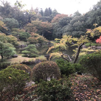 |4895| | Zahrady Tokio Kyu Furukawa