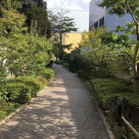 |4904| | Zahrady Tokio Kyu-Shiba-Rikyu