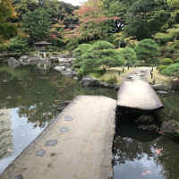 |4859| | Zahrady Tokio Kyu Furukawa