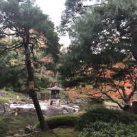 |4883| | Zahrady Tokio Kyu Furukawa