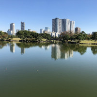 |4808| | Zahrady Tokio Hama Rikyu