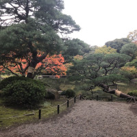 |4880| | Zahrady Tokio Kyu Furukawa