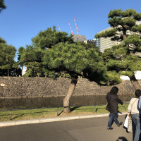 |4753| | Zahrada Tokio Imperial Palace - Císařský palác
