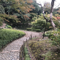 |4854| | Zahrady Tokio Kyu Furukawa