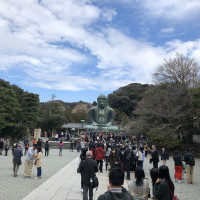 |6567| | Zahrady Kamakura
