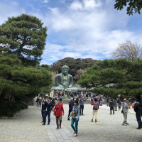|6573| | Zahrady Kamakura