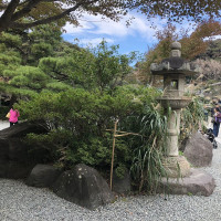 |6574| | Zahrady Kamakura