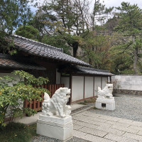 |6576| | Zahrady Kamakura