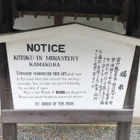 |6577| | Zahrady Kamakura