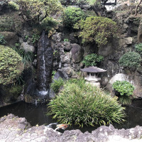 |6581| | Zahrady Kamakura