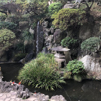 |6582| | Zahrady Kamakura