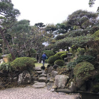|6583| | Zahrady Kamakura