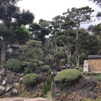 |6587| | Zahrady Kamakura
