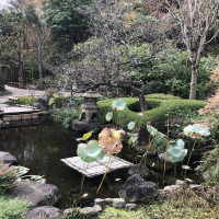 |6590| | Zahrady Kamakura