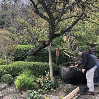 |6591| | Zahrady Kamakura