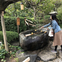 |6592| | Zahrady Kamakura