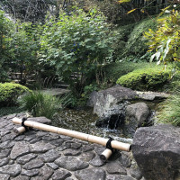 |6595| | Zahrady Kamakura