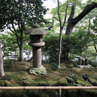|6597| | Zahrady Kamakura