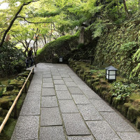 |6598| | Zahrady Kamakura