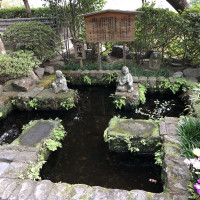 |6599| | Zahrady Kamakura