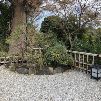 |6600| | Zahrady Kamakura
