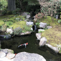 |6604| | Zahrady Kamakura