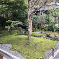 |6608| | Zahrady Kamakura