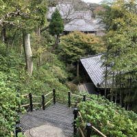 |6610| | Zahrady Kamakura