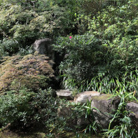|6611| | Zahrady Kamakura