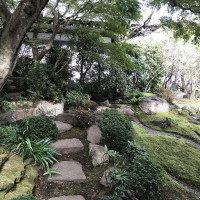 |6612| | Zahrady Kamakura